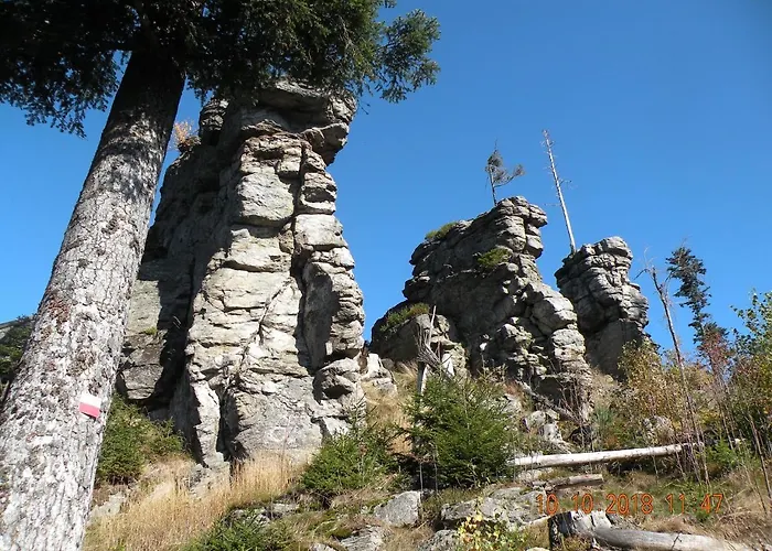 Voelkl Apartament