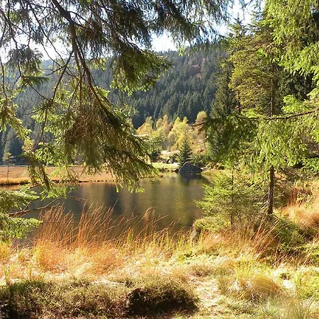 Voelkl * Böbrach