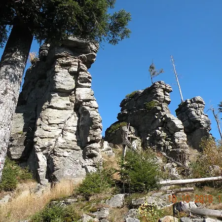 Voelkl Daire