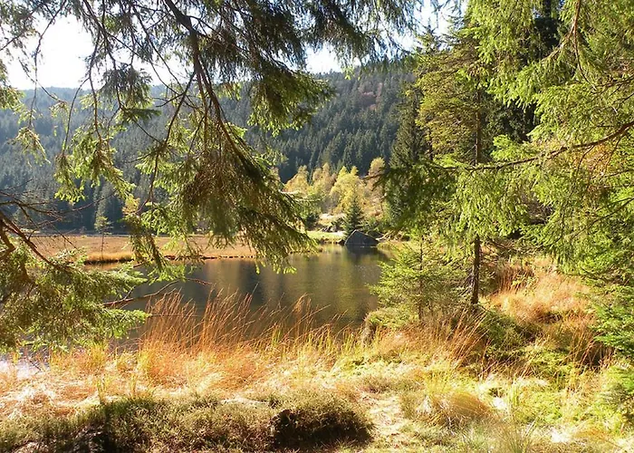 Voelkl * Böbrach